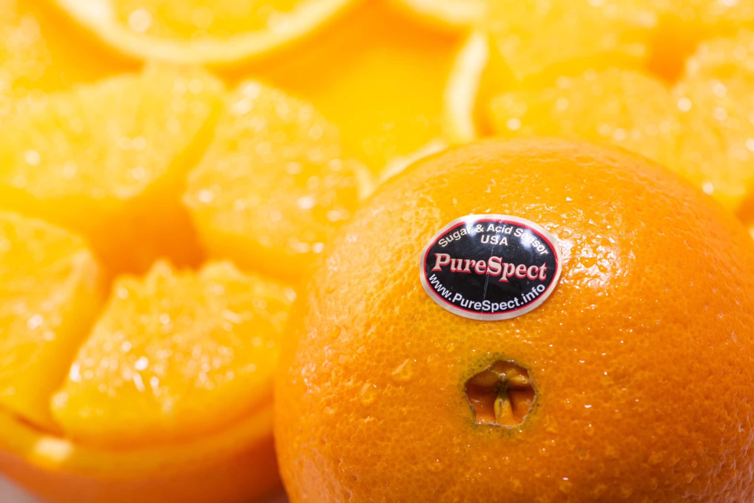 高糖度ピュアスペクトネーブルオレンジ