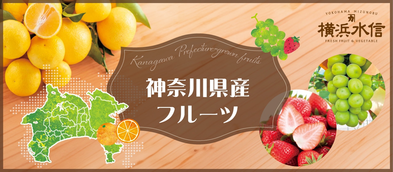 神奈川県産フルーツ